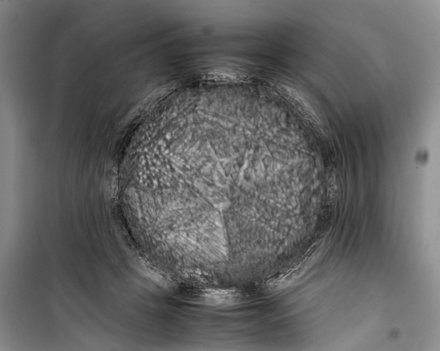 X0000100220457200806131318