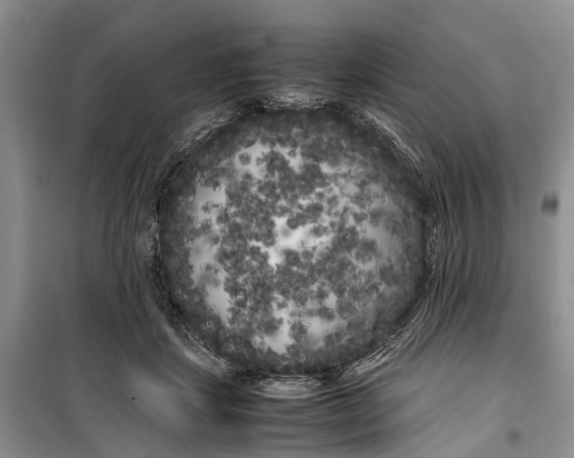 X0000100220459200806131318