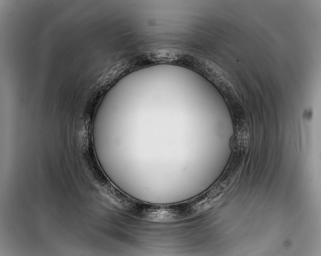 X0000100220460200806131318