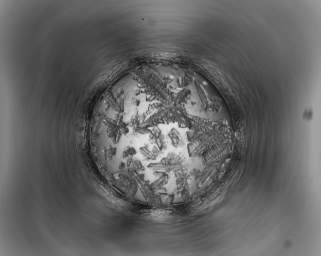 X0000100220462200806131318