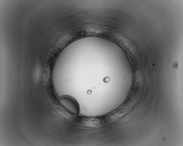 X0000100220463200806131318