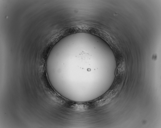 X0000100220464200806131318