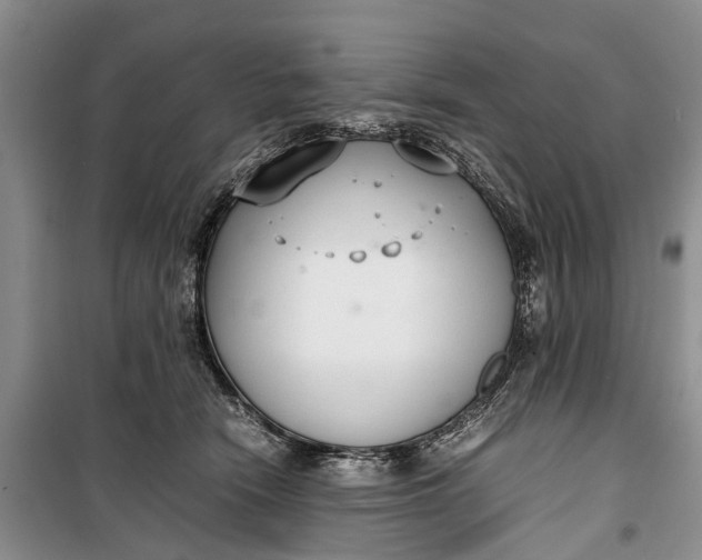 X0000100220466200806131318