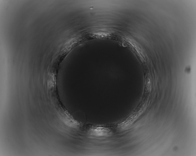 X0000100220467200806131318