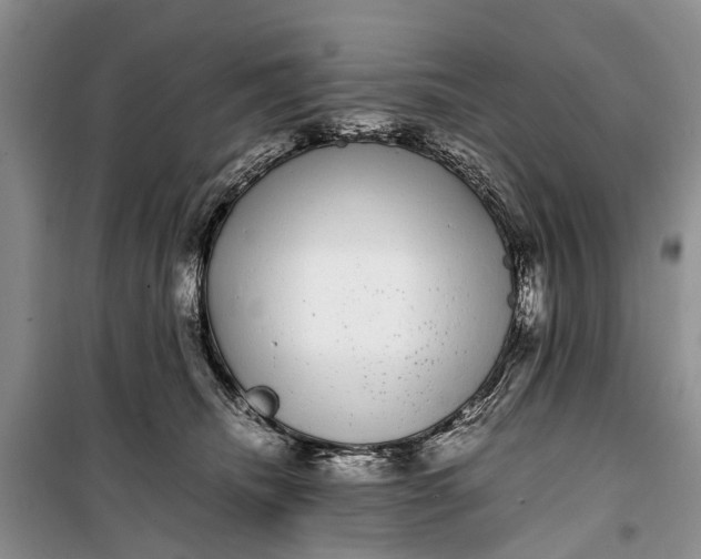 X0000100220468200806131318