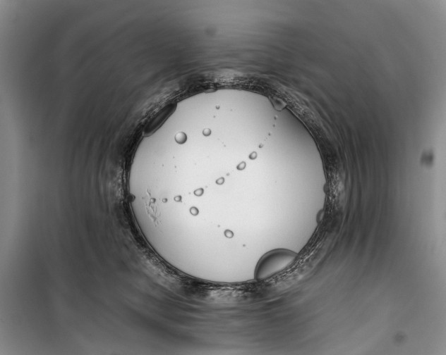 X0000100220470200806131318