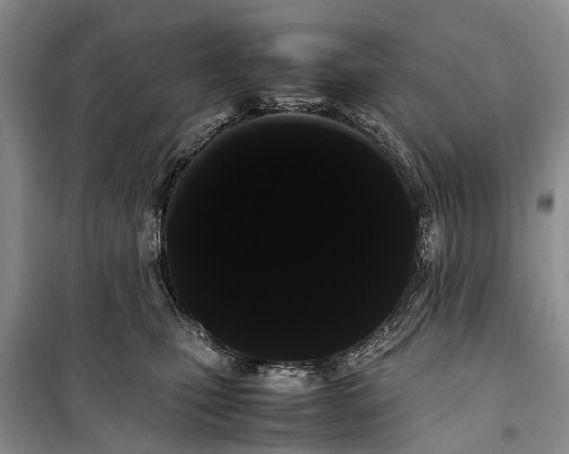 X0000100220471200806131318