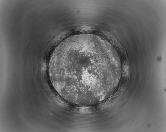 X0000100220472200806131318