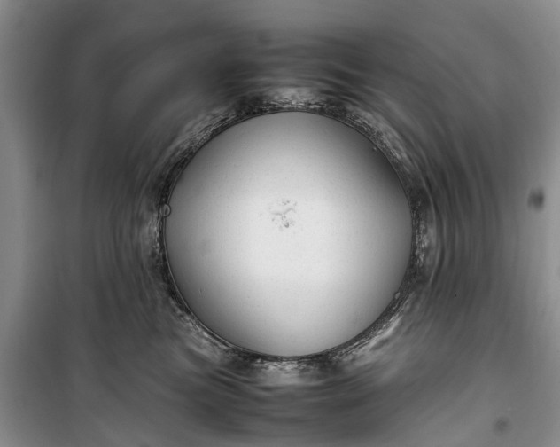 X0000100220473200806131318