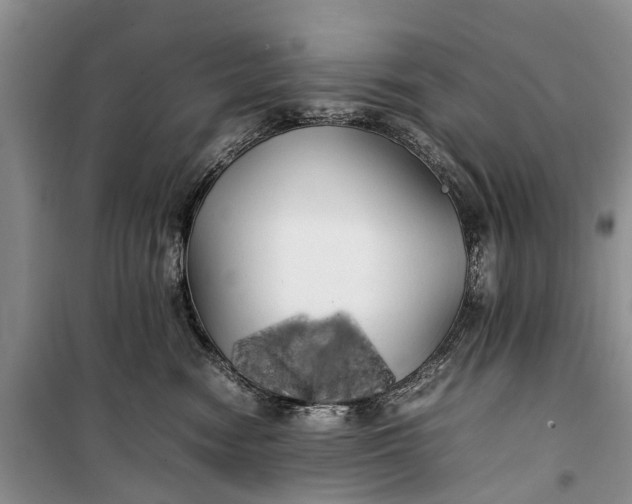 X0000100220474200806131318