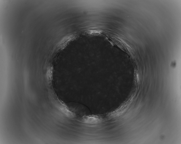 X0000100220475200806131318