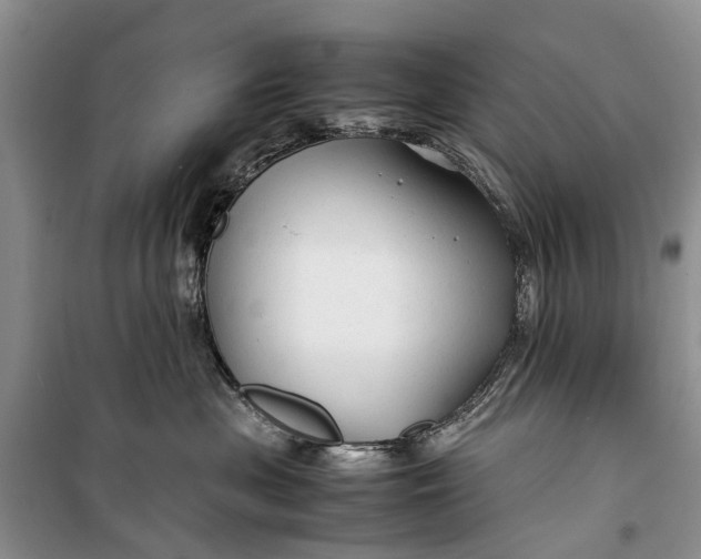 X0000100220477200806131318