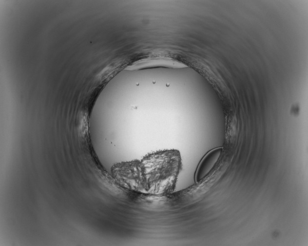 X0000100220478200806131318