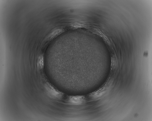 X0000100220479200806131318