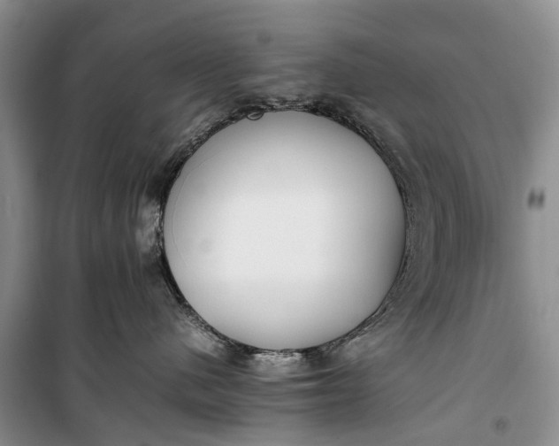 X0000100220480200806131318