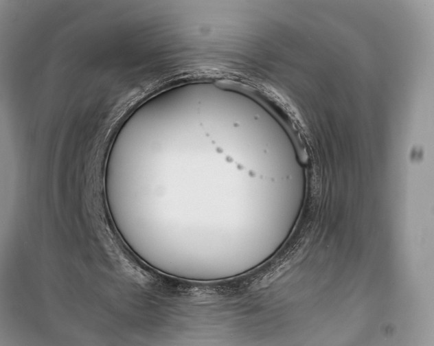 X0000100220481200806131318