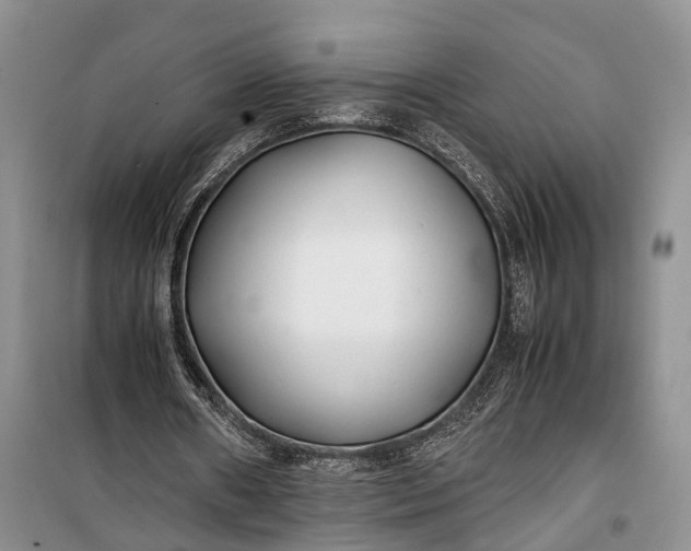 X0000100220482200806131318