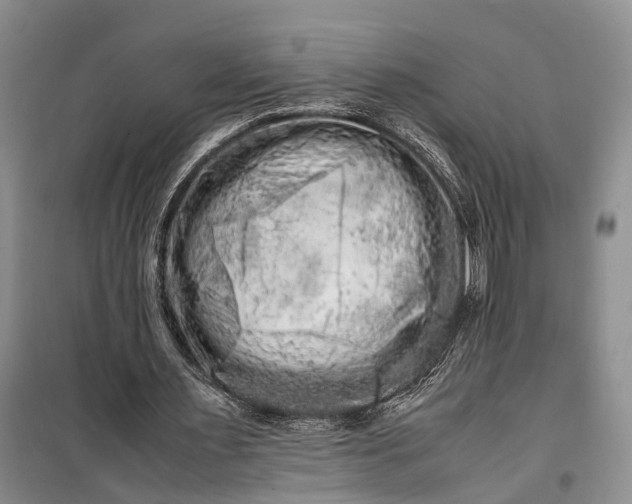 X0000100220483200806131318