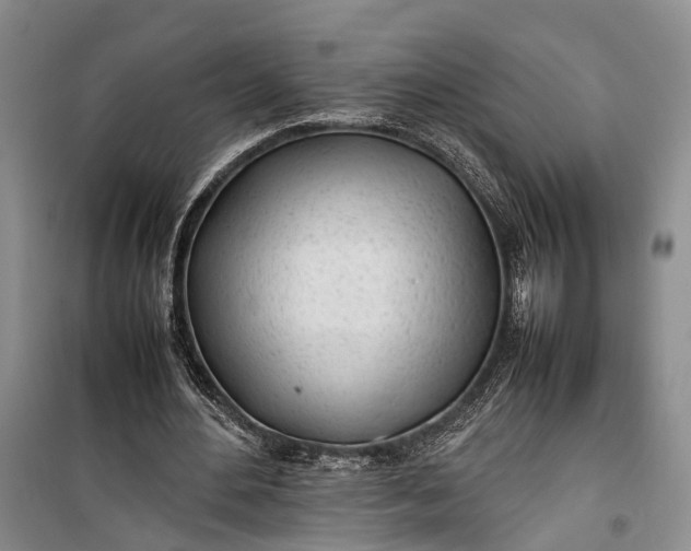 X0000100220484200806131318