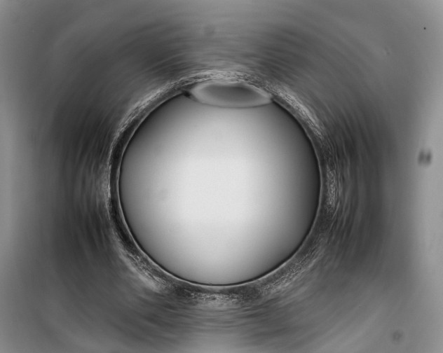 X0000100220486200806131318