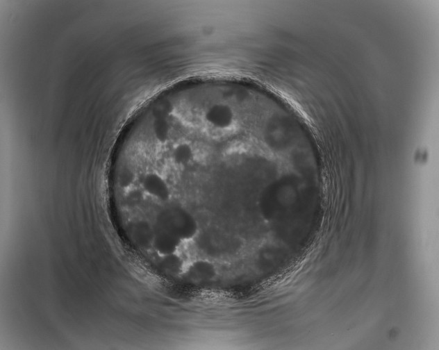 X0000100220487200806131318