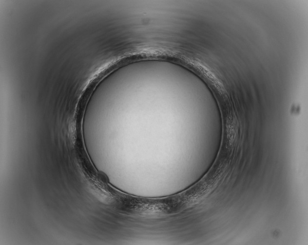 X0000100220488200806131318