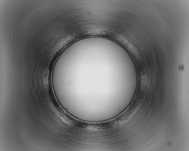 X0000100220490200806131317