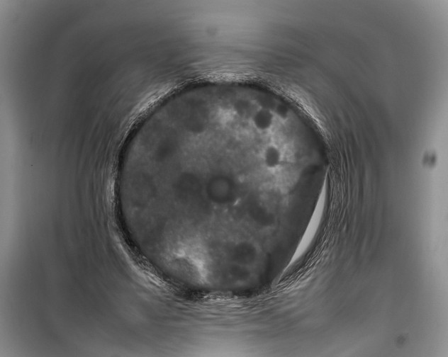 X0000100220491200806131317