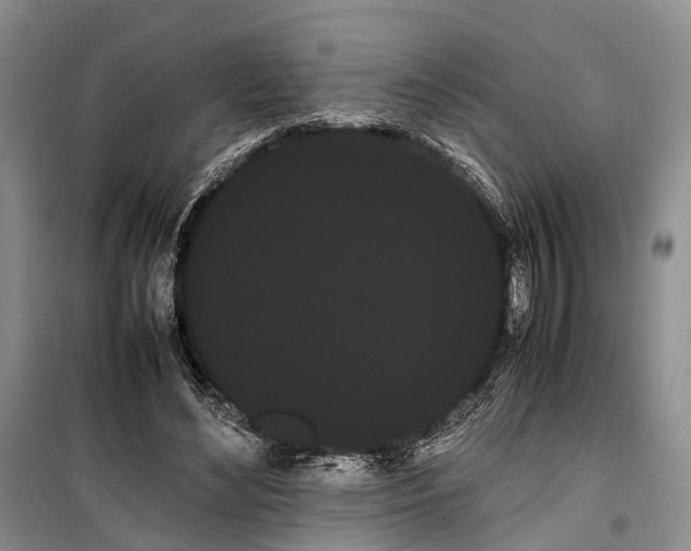 X0000100220492200806131317