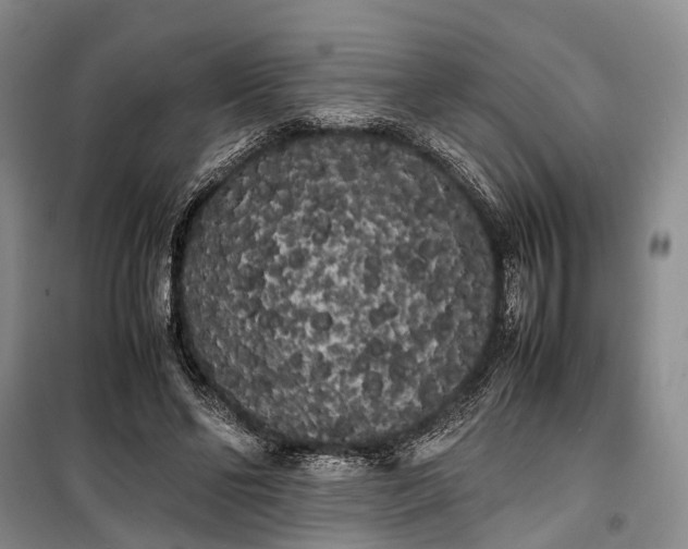 X0000100220494200806131317