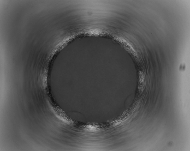 X0000100220496200806131317