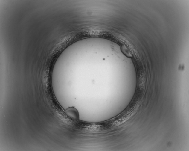 X0000100220497200806131317