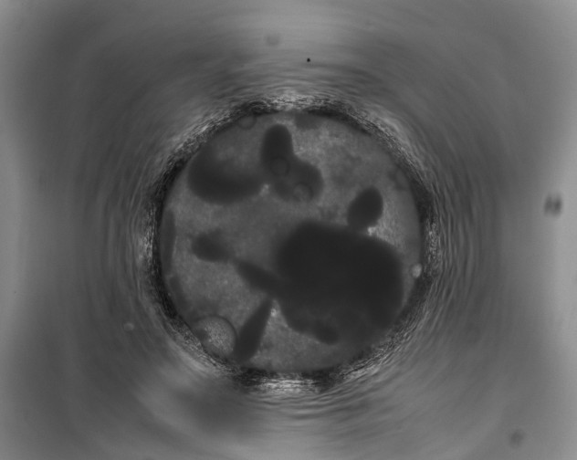 X0000100220499200806131317