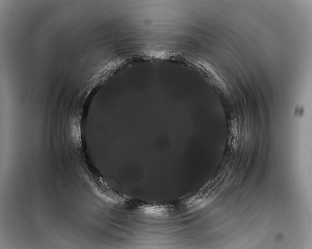 X0000100220500200806131317