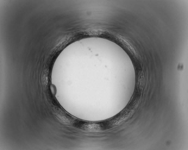 X0000100220501200806131317