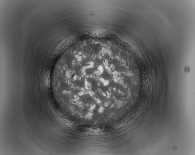 X0000100220502200806131317