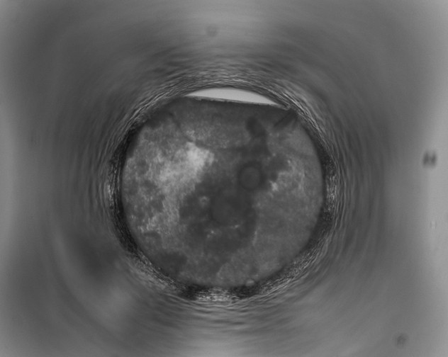 X0000100220503200806131317