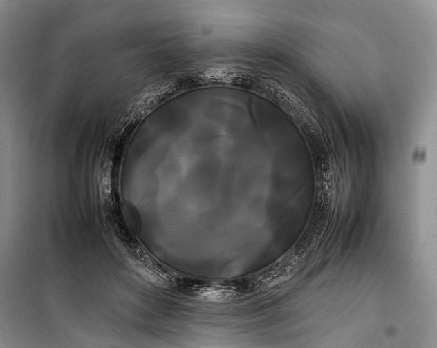 X0000100220504200806131317