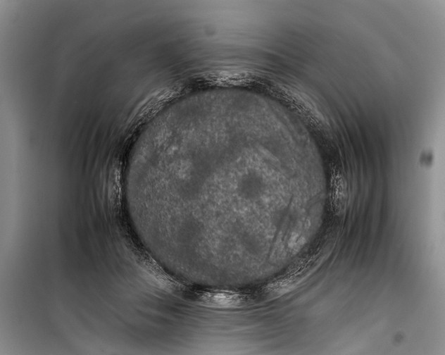 X0000100220506200806131317