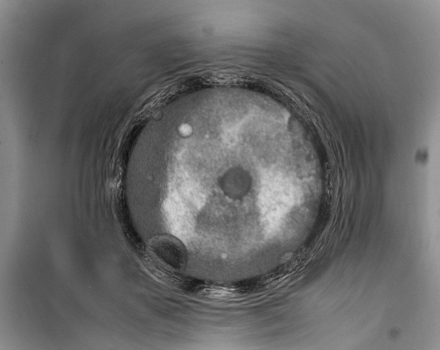 X0000100220507200806131317