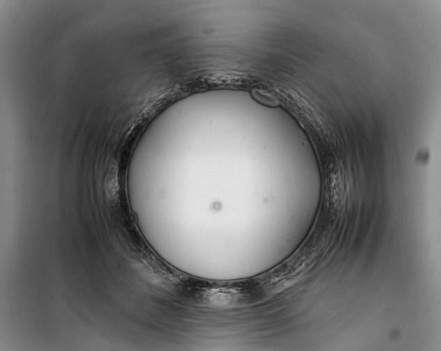 X0000100220508200806131317