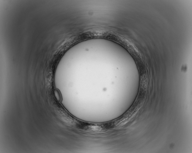 X0000100220509200806131317