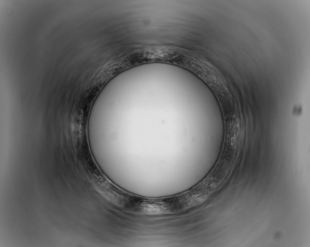 X0000100220510200806131317