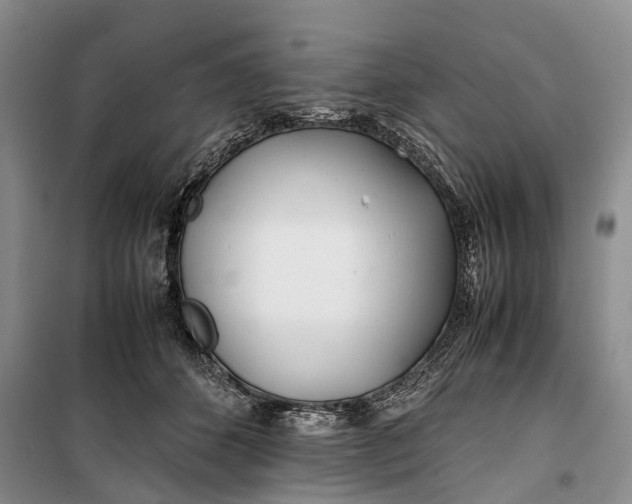 X0000100220512200806131317