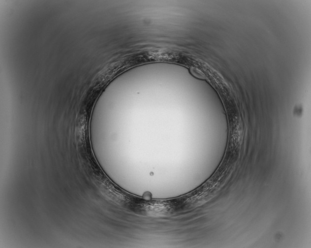 X0000100220513200806131317