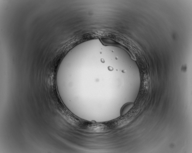 X0000100220514200806131317