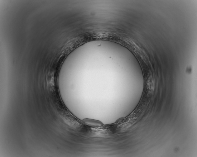 X0000100220516200806131317