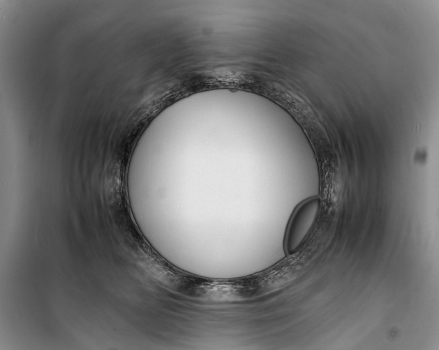 X0000100220518200806131317