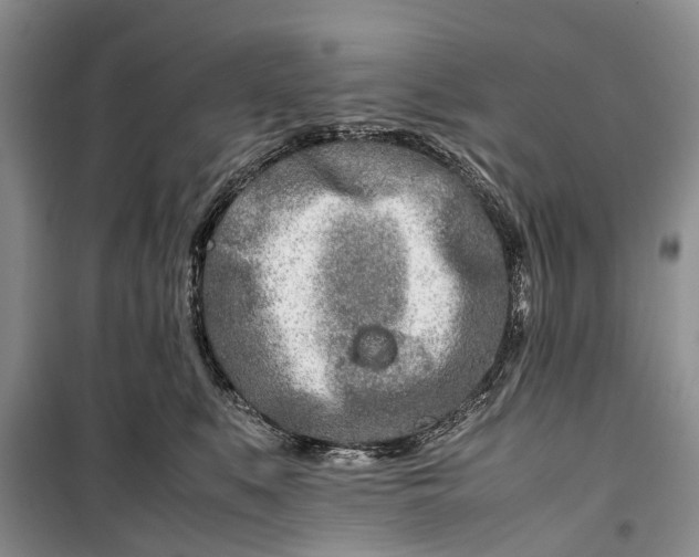 X0000100220519200806131317