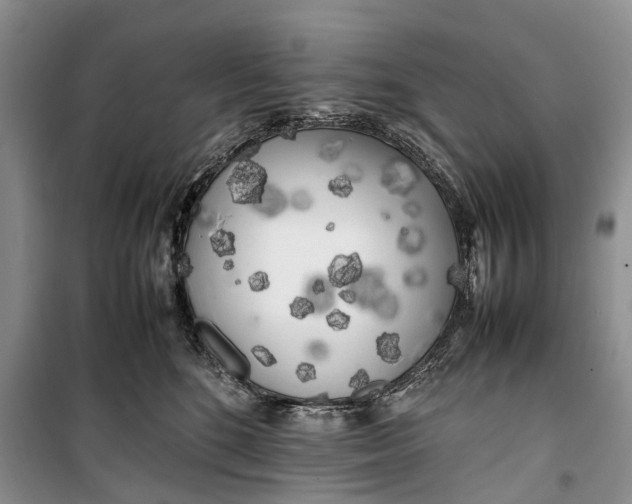 X0000100220520200806131317